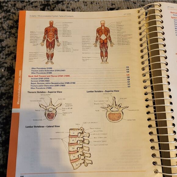 CPT 2018 American Medical Association book professional edition - Picture 3 of 11